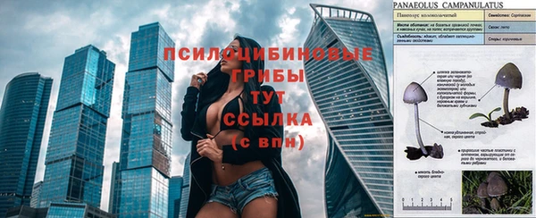 героин Алзамай