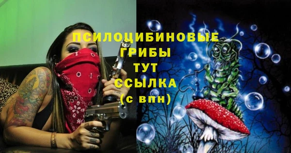 героин Алзамай